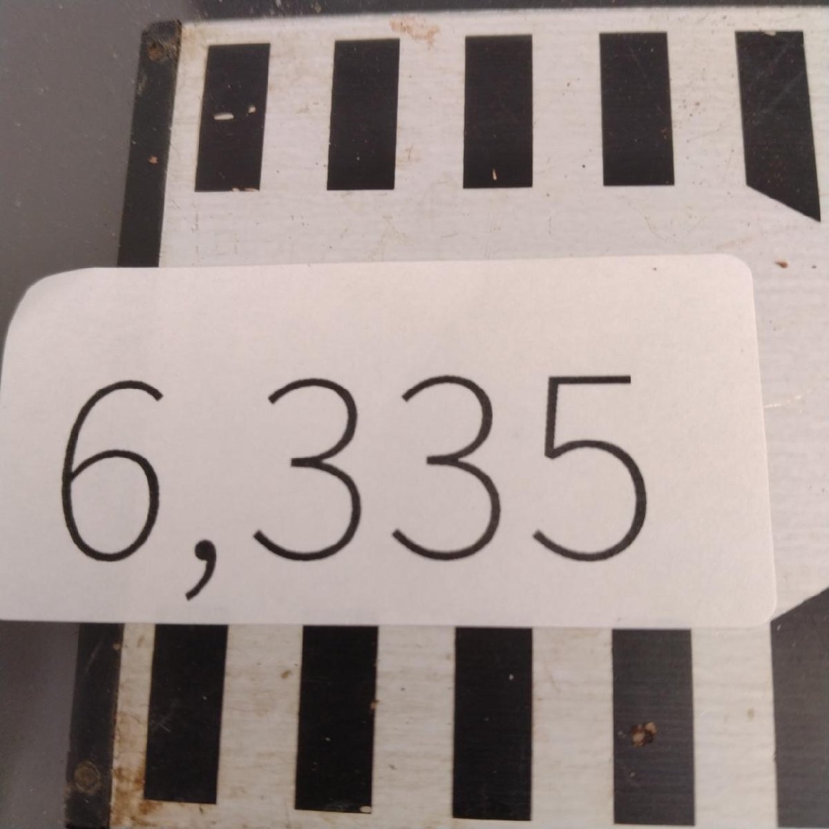 6335 「塊根植物」チレコドン レティキュラータス 抜き苗【最新到着・多肉・Tylecodon reticulatus・万物想 ・枯枝・折枝アリ】の画像6