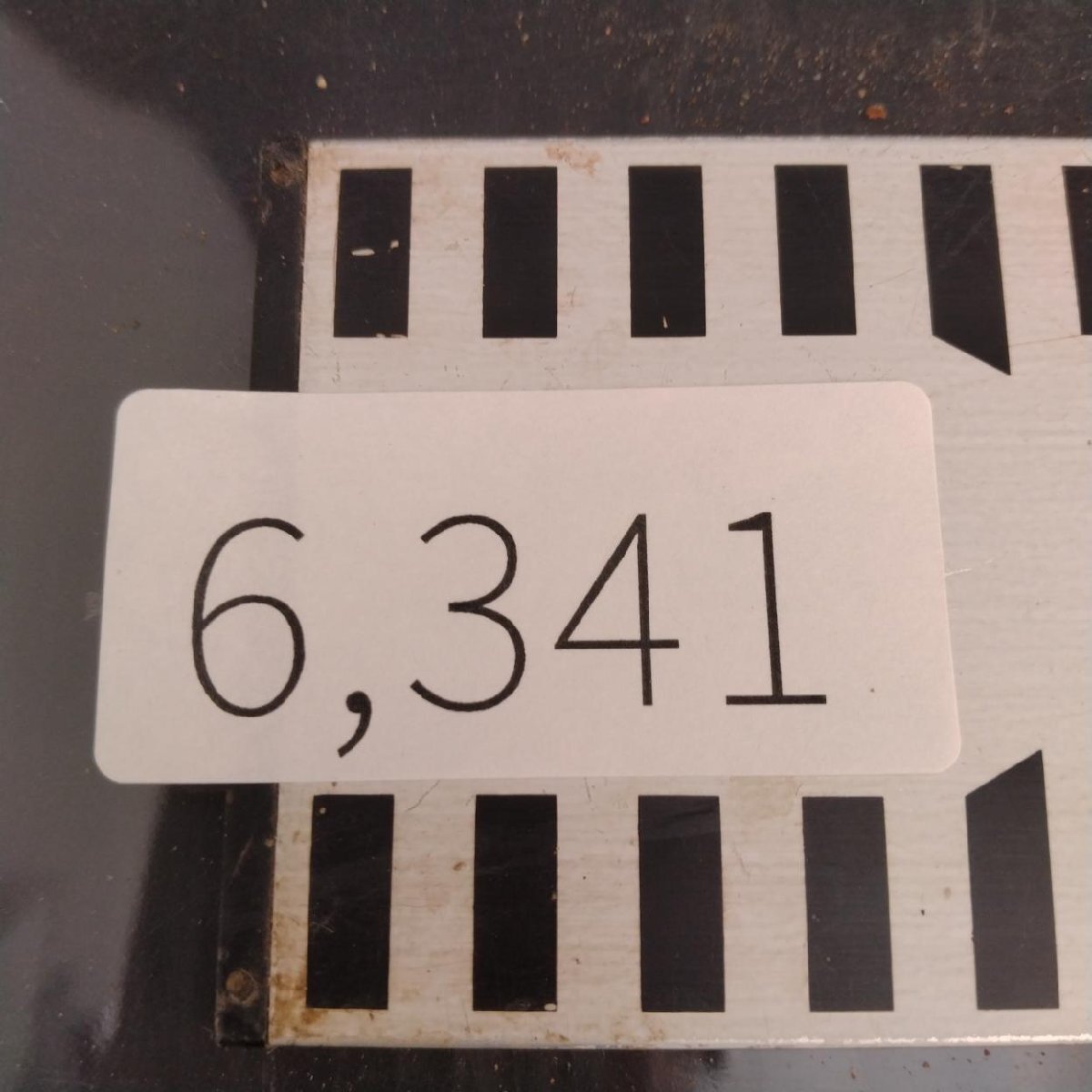 6341 「塊根植物」チレコドン レティキュラータス 抜き苗【最新到着・多肉・Tylecodon reticulatus・万物想 ・枯枝・折枝アリ】の画像2