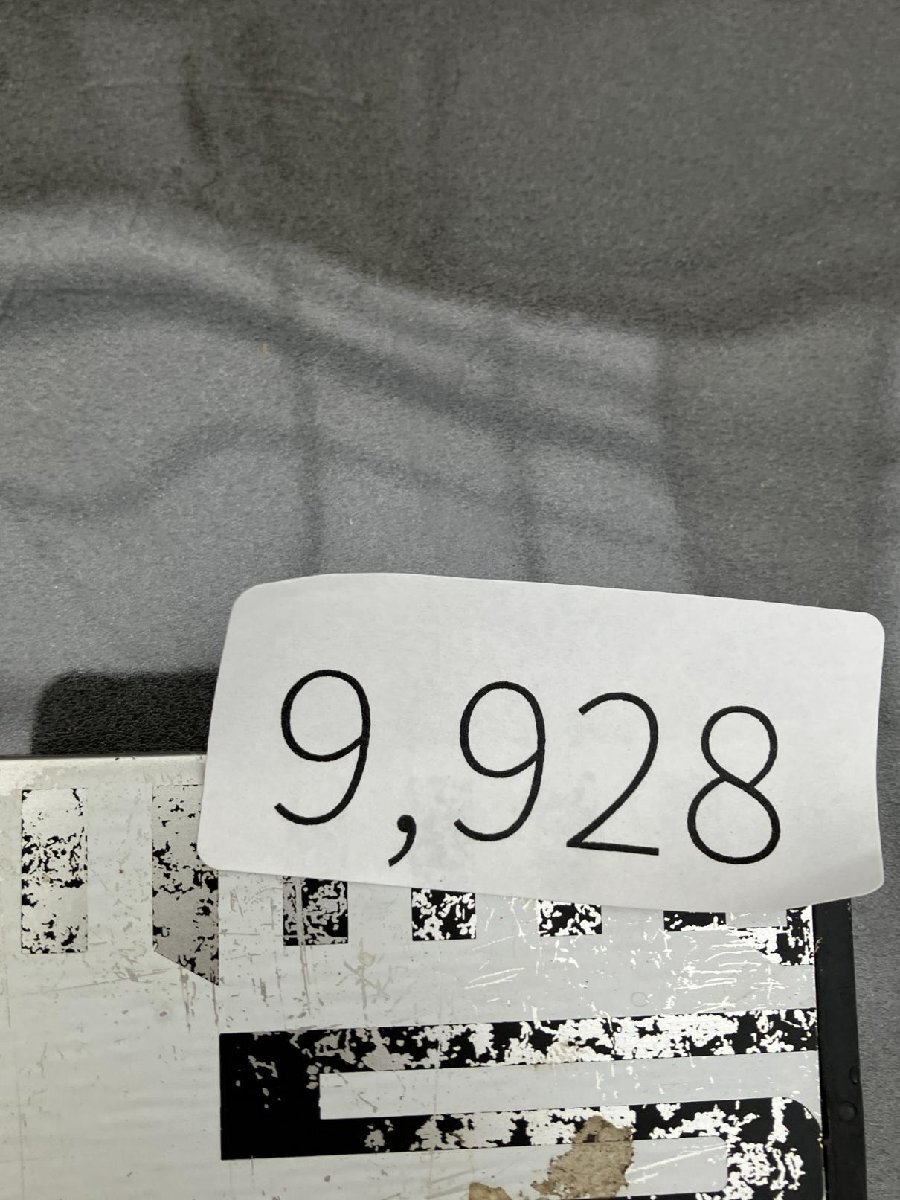 9928 「球根植物」ブーファン ハエマンソイデス 抜き苗【10/13最新到着・美株・Boophane haemanthoides・丸株】の画像2