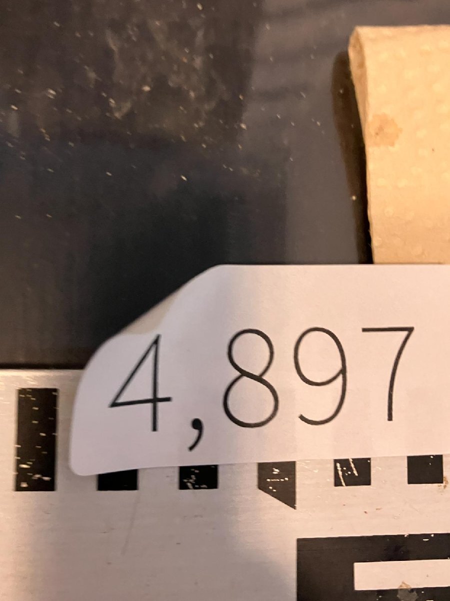 4897 「塊根植物」チレコドン レティキュラーツス大【発根未確認・発芽中・多肉植物・Tylecodon reticulatus・万物想 ・枯枝・折枝アリ】の画像2