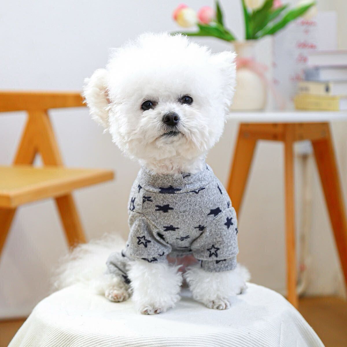 M スター柄 ロンパース 犬服 犬の服 小型犬 カバーオール つなぎ オールインワン 部屋着 ドッグウェア _画像4