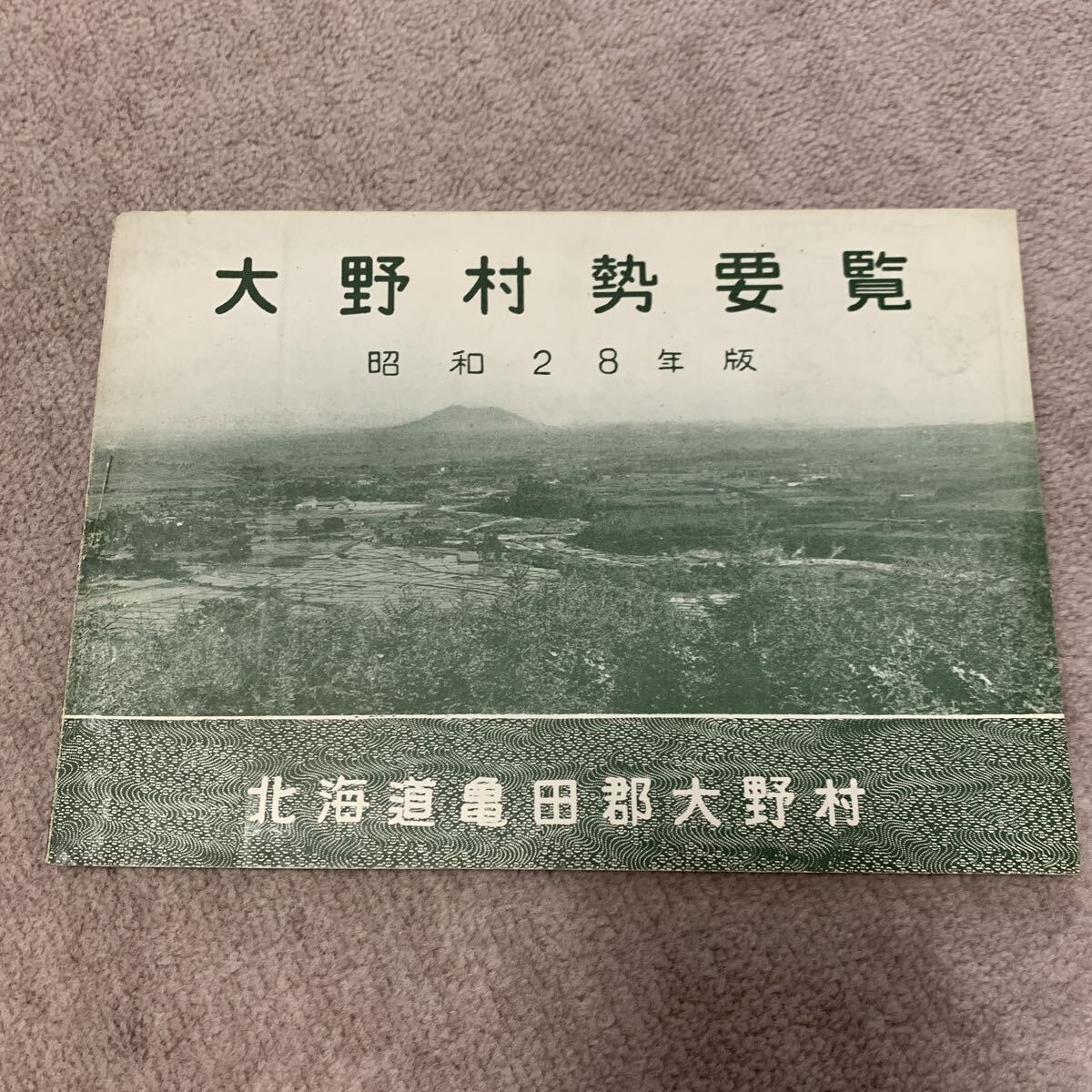 昭和28年版　大野村勢要覧　北海道亀田郡大野村　 本　冊子　 レトロ　 歴史　 資料　珍品　古地図　 当時物　_画像1