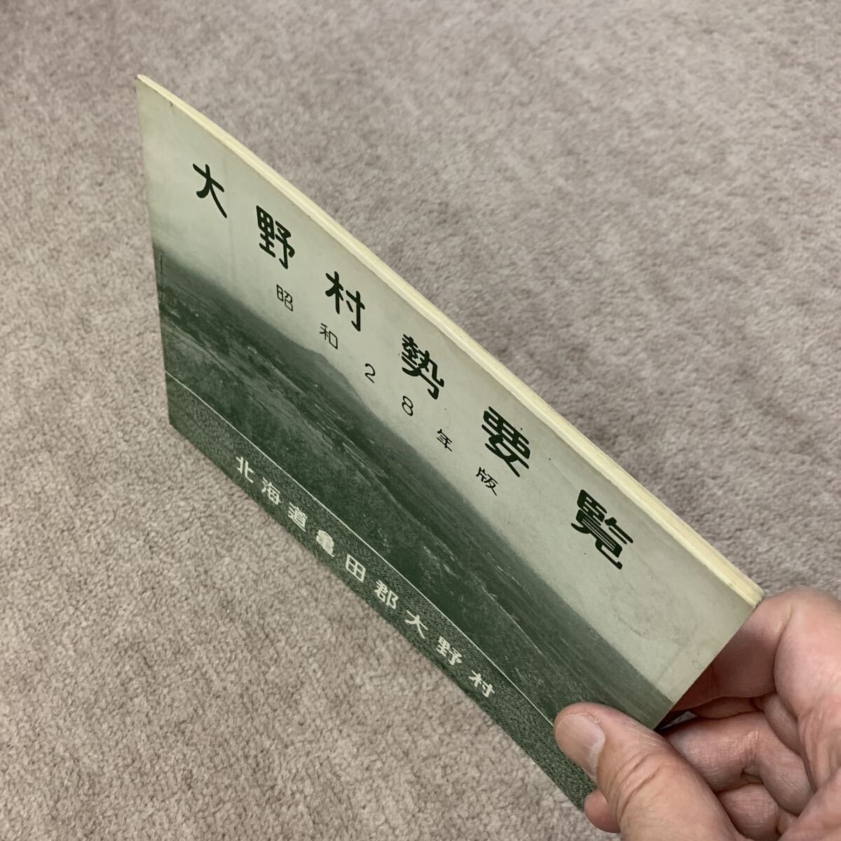 昭和28年版　大野村勢要覧　北海道亀田郡大野村　 本　冊子　 レトロ　 歴史　 資料　珍品　古地図　 当時物　_画像2