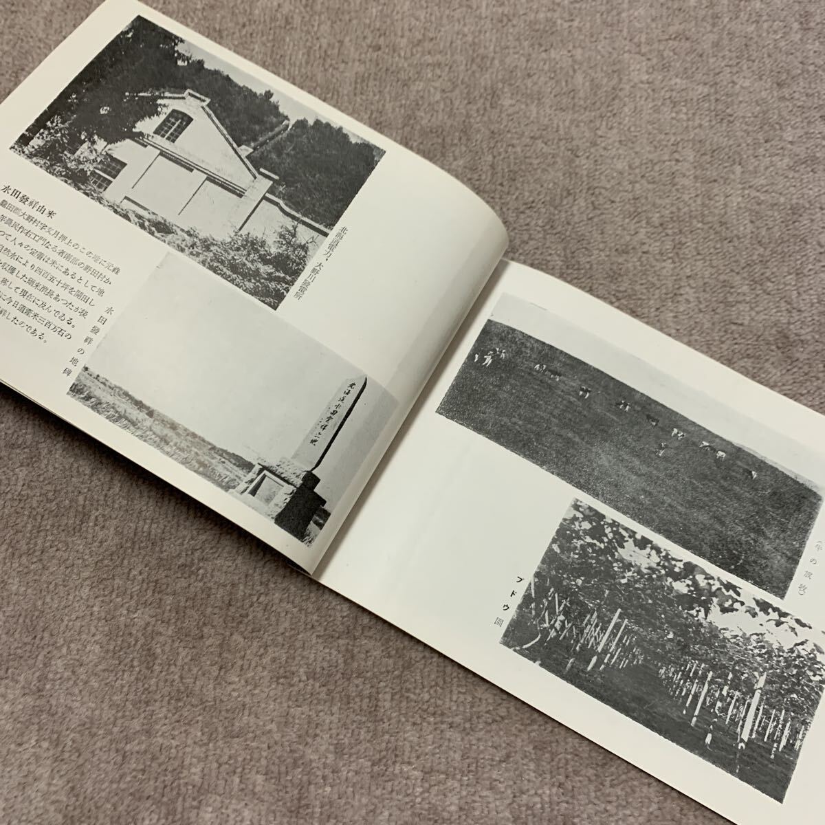 昭和28年版　大野村勢要覧　北海道亀田郡大野村　 本　冊子　 レトロ　 歴史　 資料　珍品　古地図　 当時物　_画像7