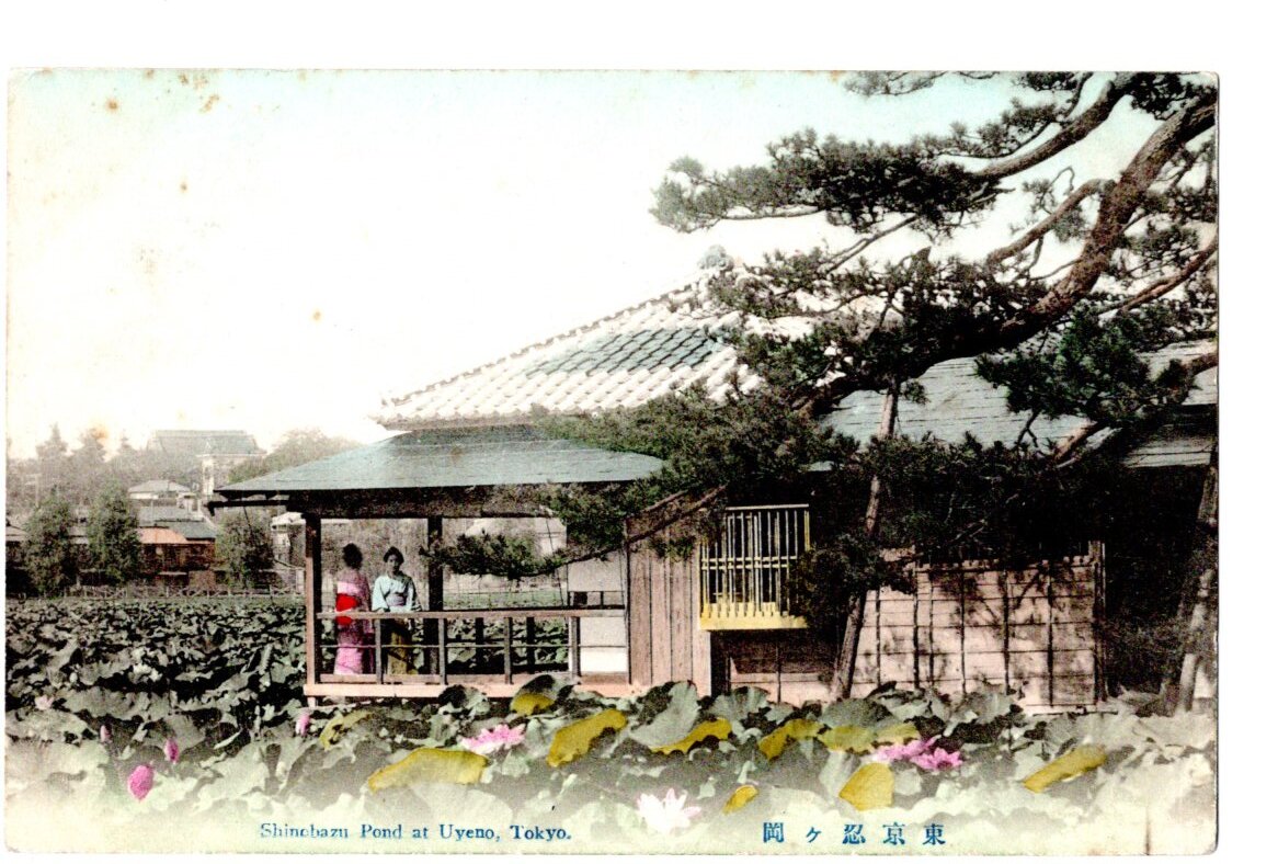 手彩色　東京　上野　忍ヶ岡_画像1