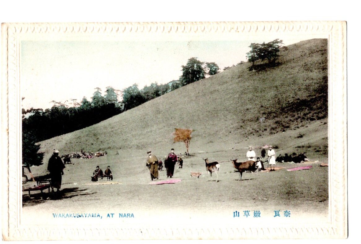 手彩色 奈良 若草山 鹿_画像1