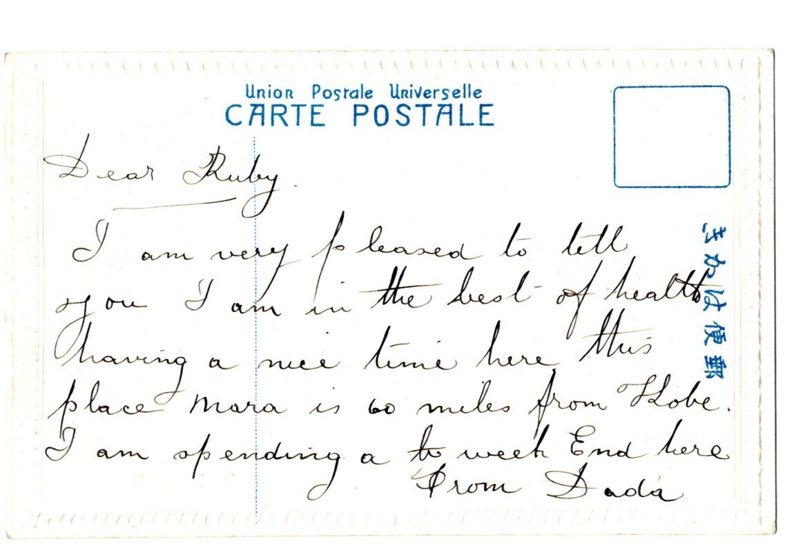 手彩色 奈良 若草山 鹿_画像2