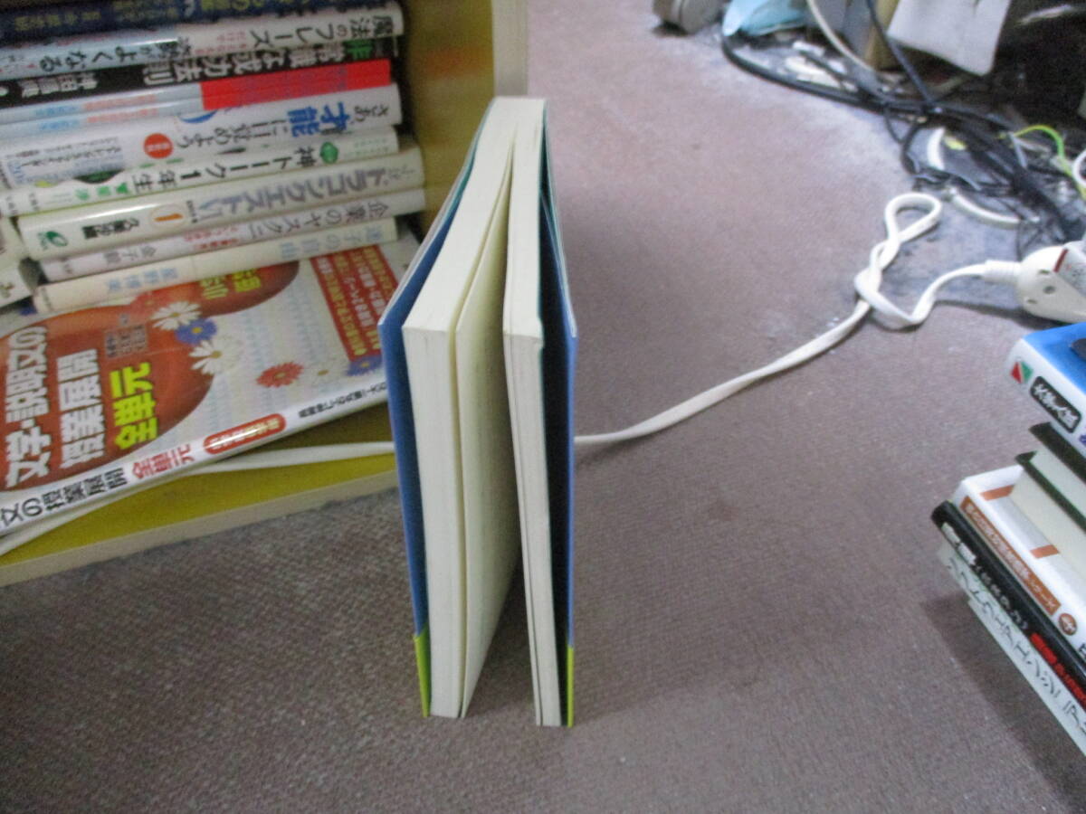 E インテグラル・ヨーガ (パタンジャリのヨーガ・スートラ)1993/12/1 スワミ・サッチダーナンダ, 伊藤 久子_画像2