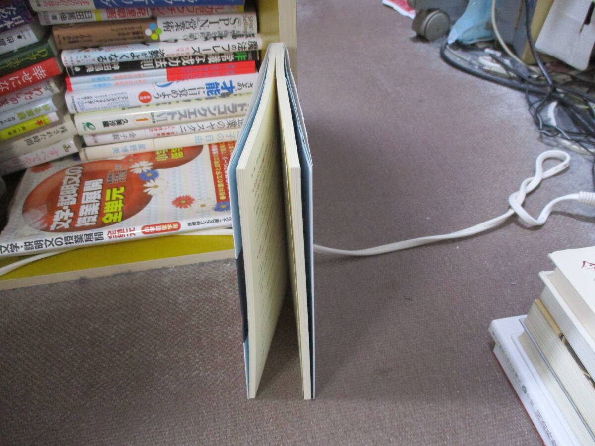 E 司法書士になることは現代最強の生き残り策である (オートマシステムシリーズ)2020/3/19 山本 浩司_画像2