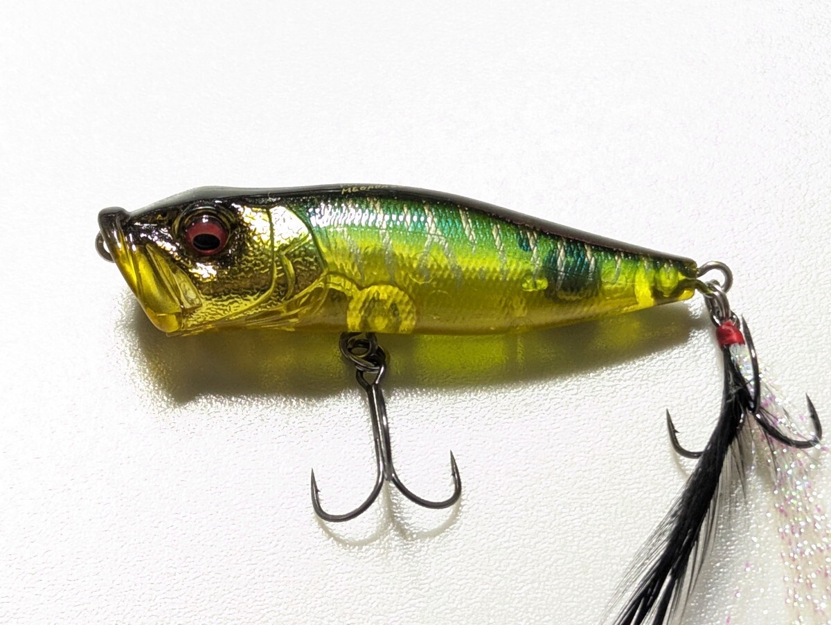 メガバス Megabass POP-X (ポップX)　＃ジントニックタイガー_画像1
