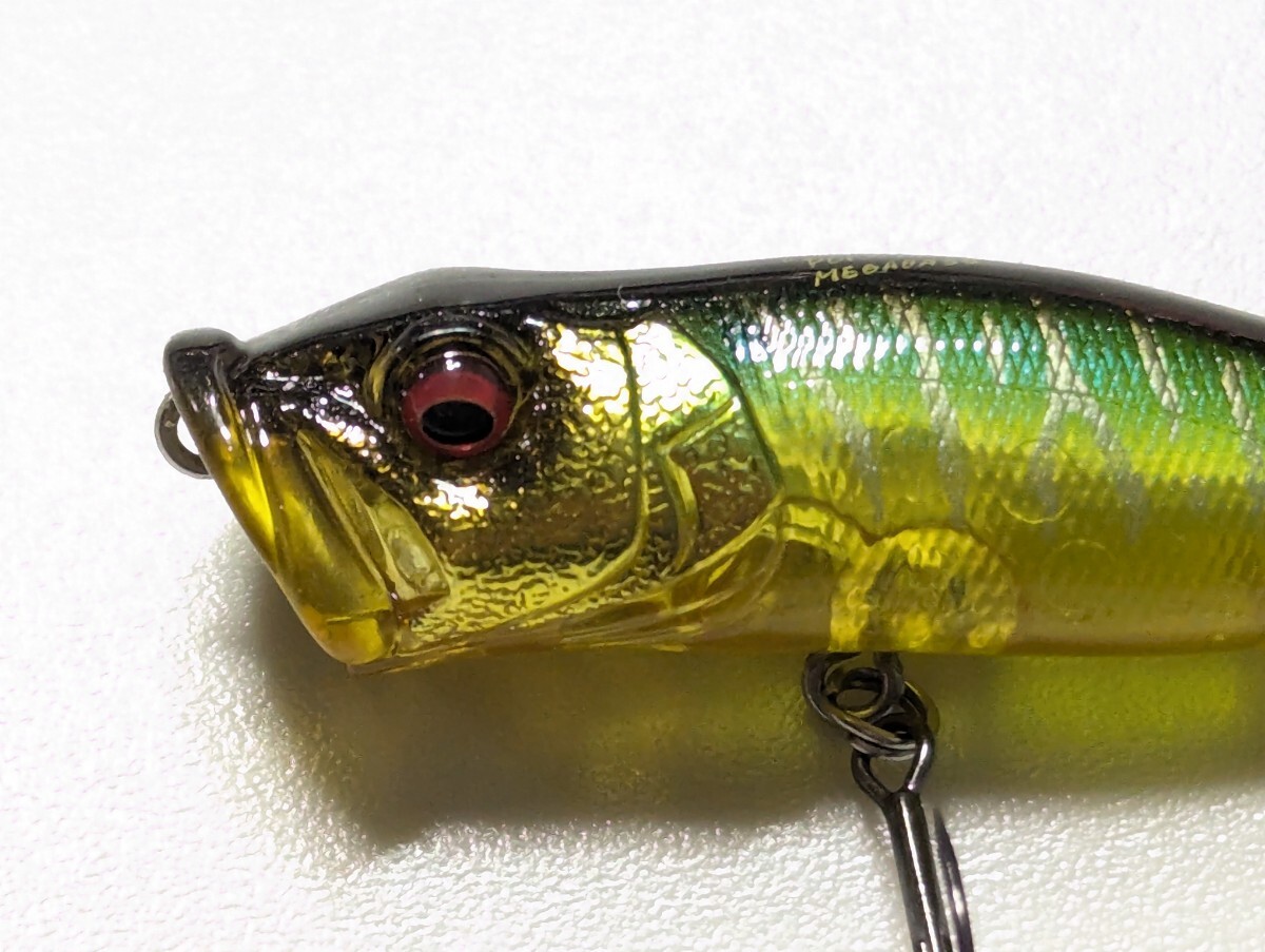メガバス Megabass POP-X (ポップX)　＃ジントニックタイガー_画像6
