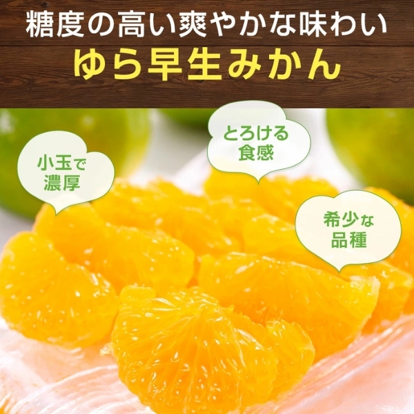 数量限定 400個　ゆら早生みかん みかん 訳あり お試し 6個　早生 ゆら早生 小粒 小玉 青みかん 送料無料 みかん 蜜柑 ミカン 果物 和歌山_画像2