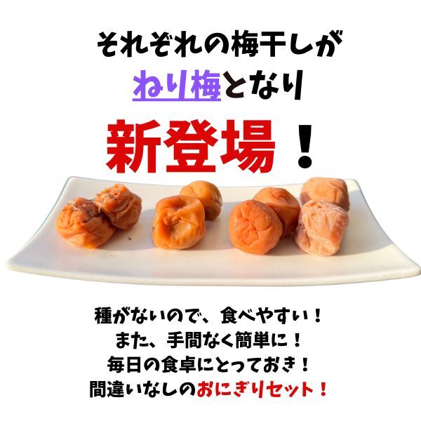 ねり梅　4点セット　各90ｇ×4袋入り　チューブ　はちみつ　しそ　かつお　白干し　梅干し　お試し　おにぎり　送料無料　ポスト　和歌山_画像3