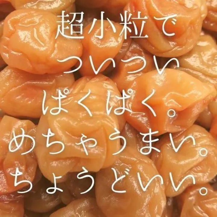 紀州小梅　白干し小梅　100g　スタンドパック入り　白干し梅　塩分20％　超小粒　おにぎり　ポスト投函　風邪予防　夏バテに　梅干し_画像2