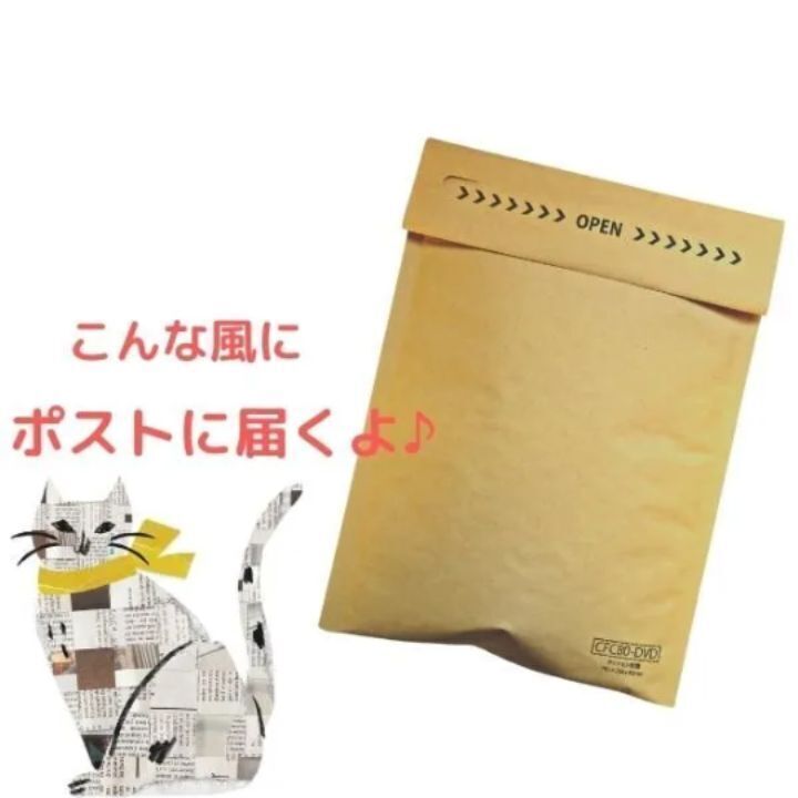 紀州小梅　白干し小梅　100g　スタンドパック入り　白干し梅　塩分20％　超小粒　おにぎり　ポスト投函　風邪予防　夏バテに　梅干し_画像6