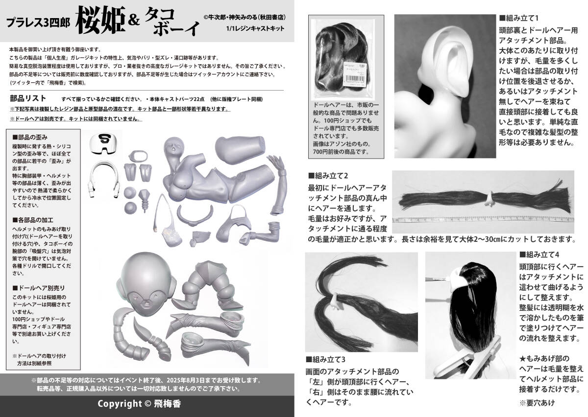 1/1スケール 桜姫 vs タコボーイ プラレス3四郎 ワンフェス ガレージキット ガレキ レジン_画像9