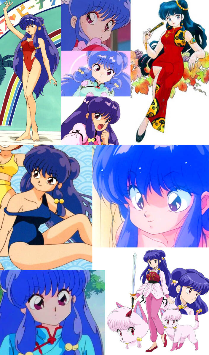 1/8 シャンプー 1 マリオルーム  石井和夫原型 らんま1/2 ムサシヤ 高橋留美子 ワンフェス ガレージキット ガレキ  レジン_画像6