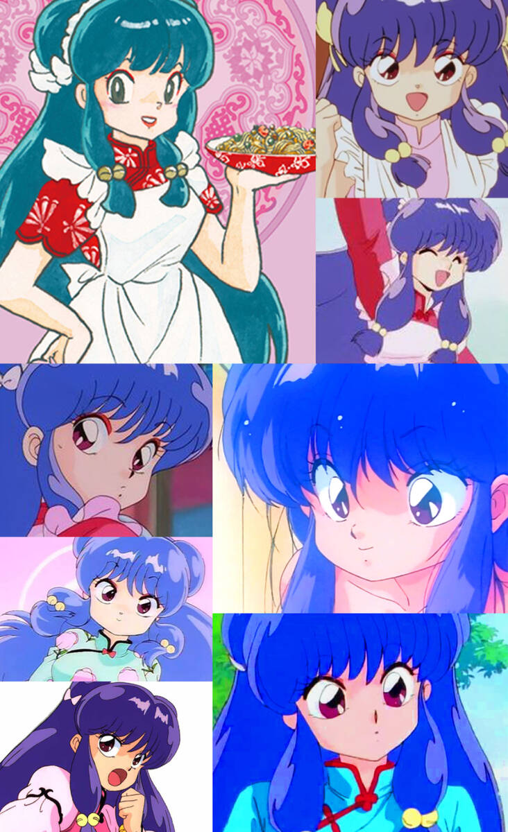1/8 シャンプー 1 マリオルーム  石井和夫原型 らんま1/2 ムサシヤ 高橋留美子 ワンフェス ガレージキット ガレキ  レジン_画像8