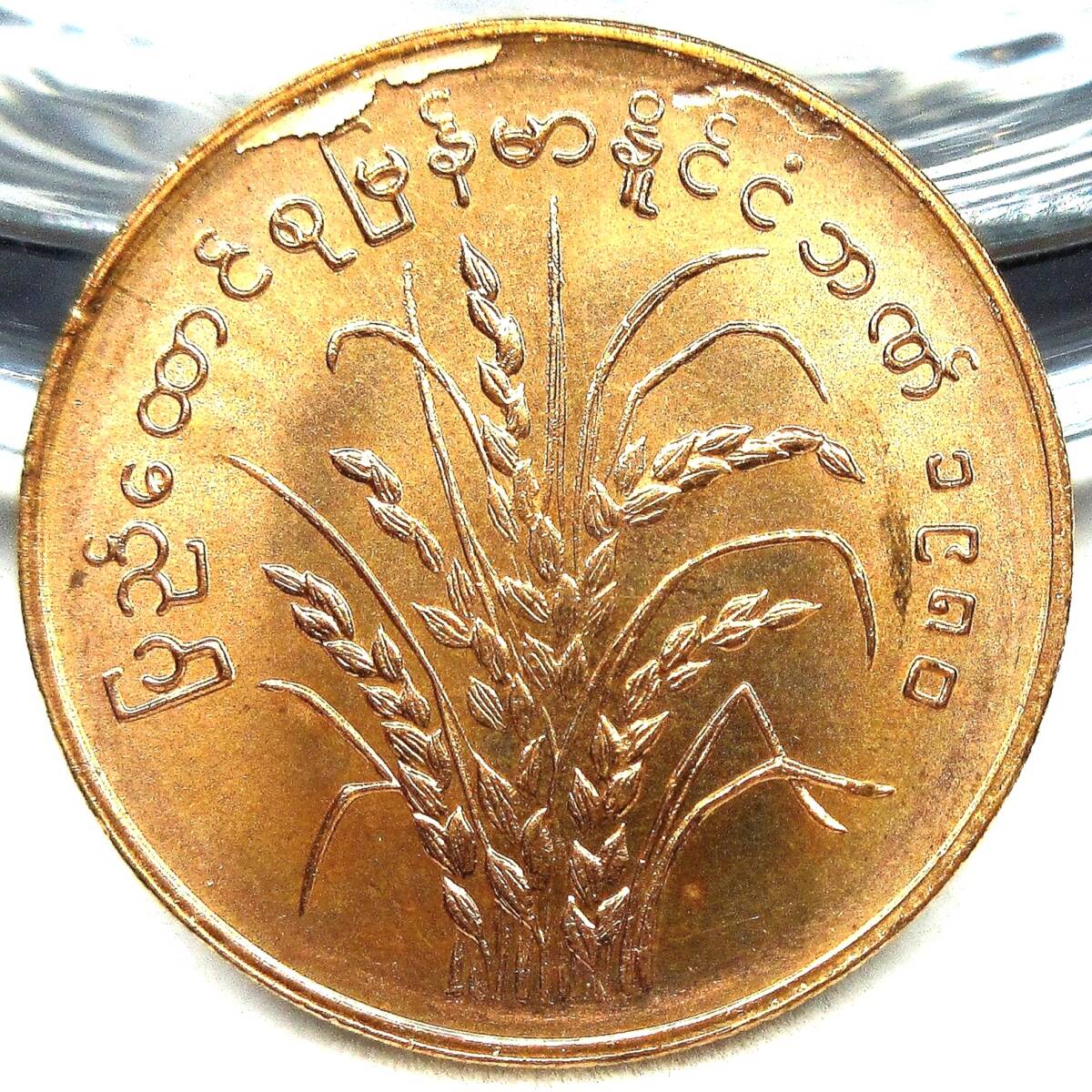 ミャンマー ビルマ 25ピャ 1980年 22.35mm 4.15g FAO_画像2