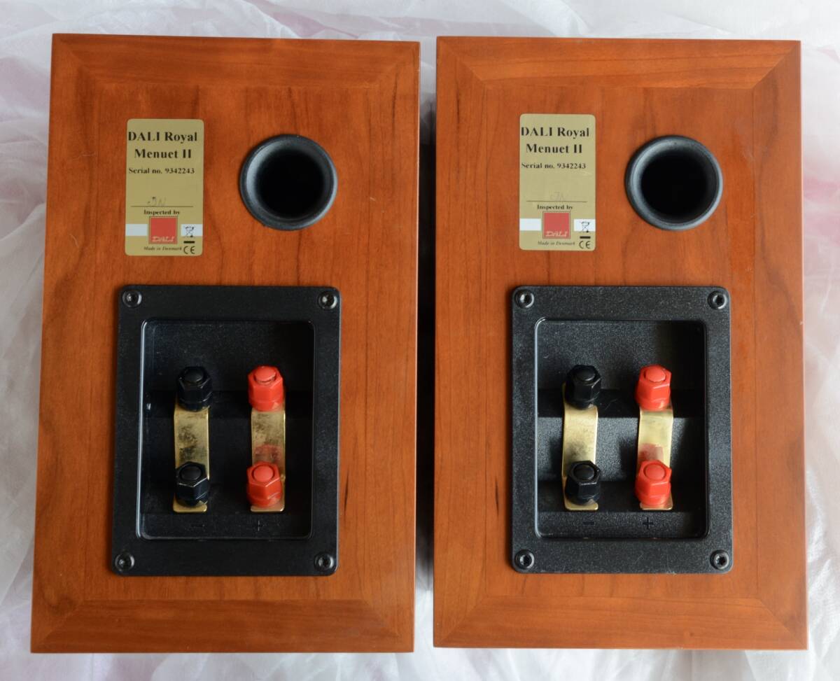 DALI Royal Menuet II ダリ　ロイヤル　メヌエット　Ⅱ _画像4