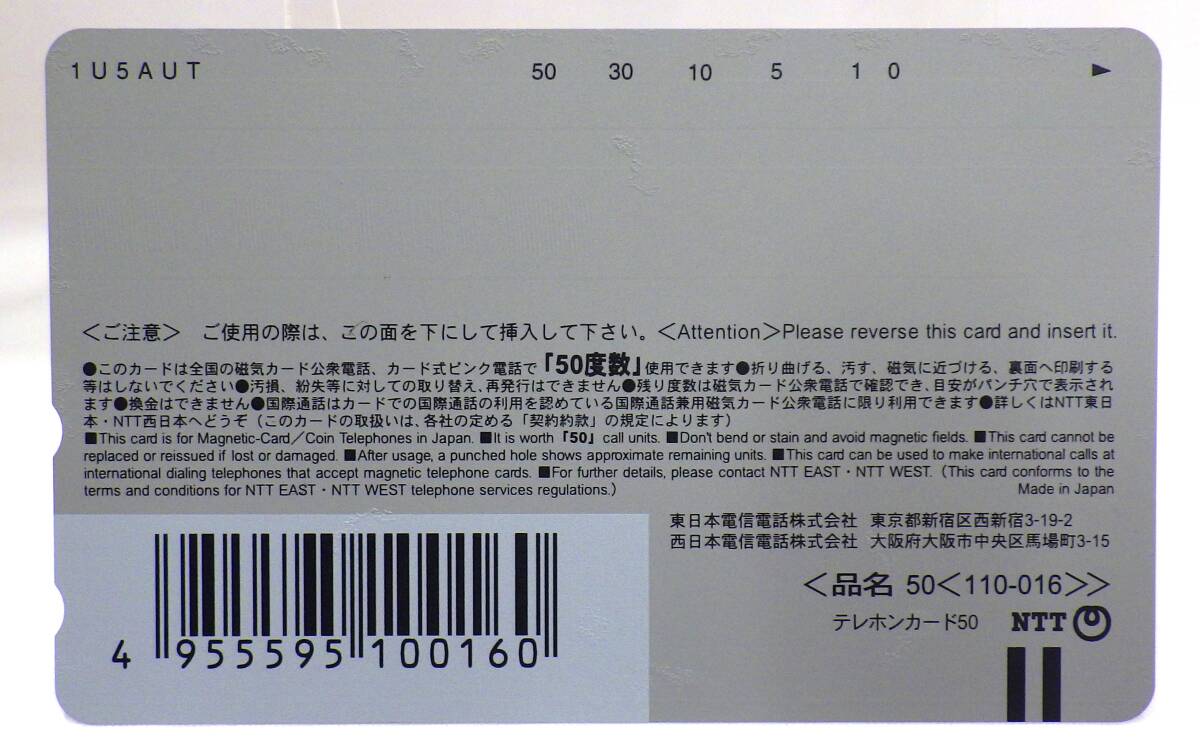 【#16895ーT1】 テレホンカード 50度数 未使用品 秋山莉奈 ザ・ベストORIGINAL テレカ コレクション_画像2