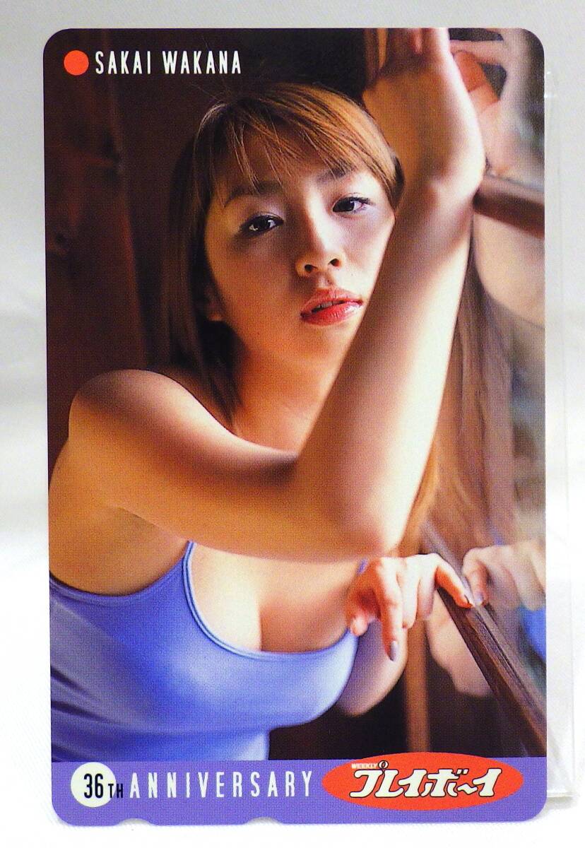 【#16895ーY】　テレホンカード　50度数　未使用品　酒井若菜　プレイボーイ　36th　グラビアアイドル　テレカ　コレクション_画像1
