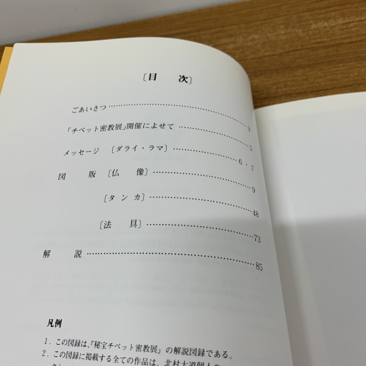 ●01)【1点限り!】チベット密教展/北村太道/隆昌堂/1992年発行/仏教美術/Aの画像3