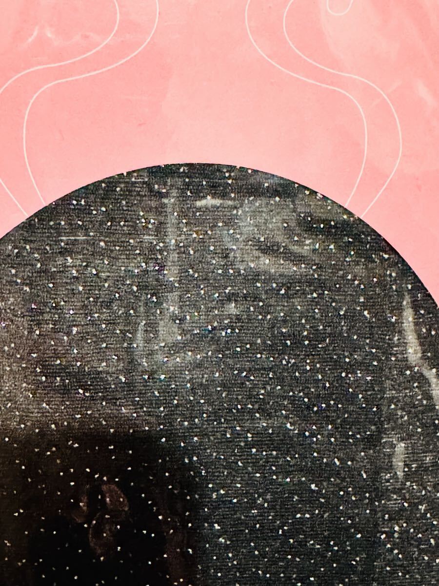 3足セット レベッカテイラー パンスト ストッキング ラメ リボン 黒 タイツ80デニール ヒョウ柄レギンス 10分丈 ML REBECCATAYLOR_画像3