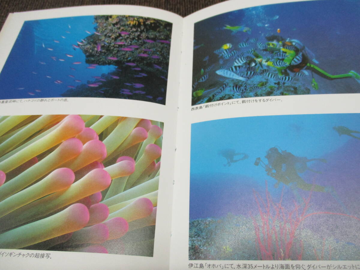 SU ★送料全国一律:185円★ ダイビングドキュメンタリー 小出康太郎/著 久米書房_画像3