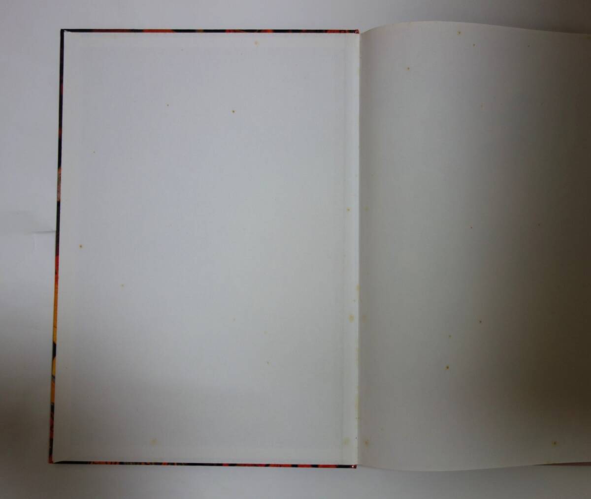 ハンス・ポコラ(Hans Pokora) の　[3001 Record Collectr Dreams]_画像4