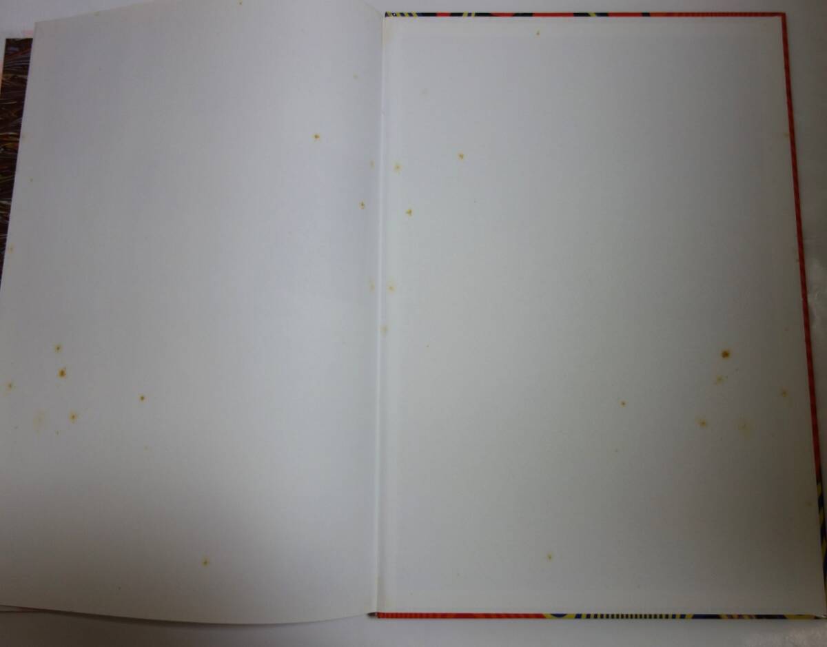 ハンス・ポコラ(Hans Pokora) の　[3001 Record Collectr Dreams]_画像8