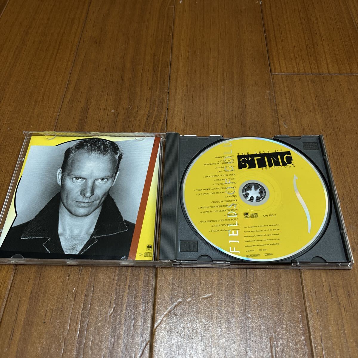 CD The Best Of Sting スティング FIELDS OF GOLD_画像3