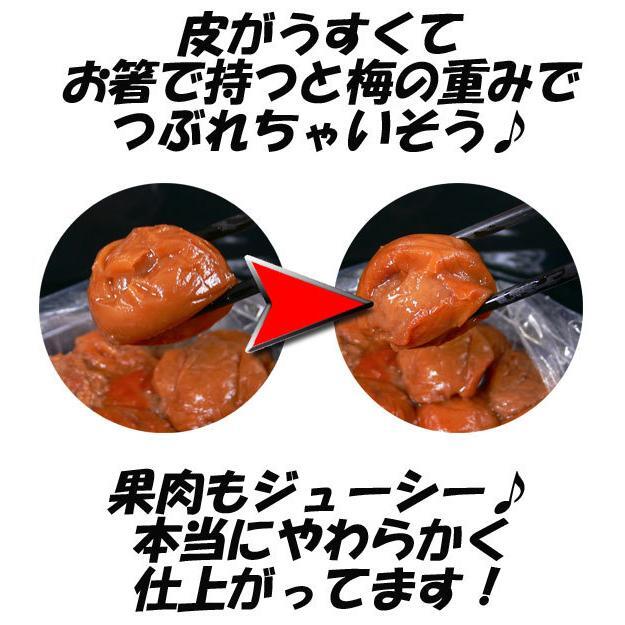 梅干し 南高梅 つぶれ梅 大粒 紀州 減塩 はちみつ漬け 800gｘ６個セット/卸 /送料無料