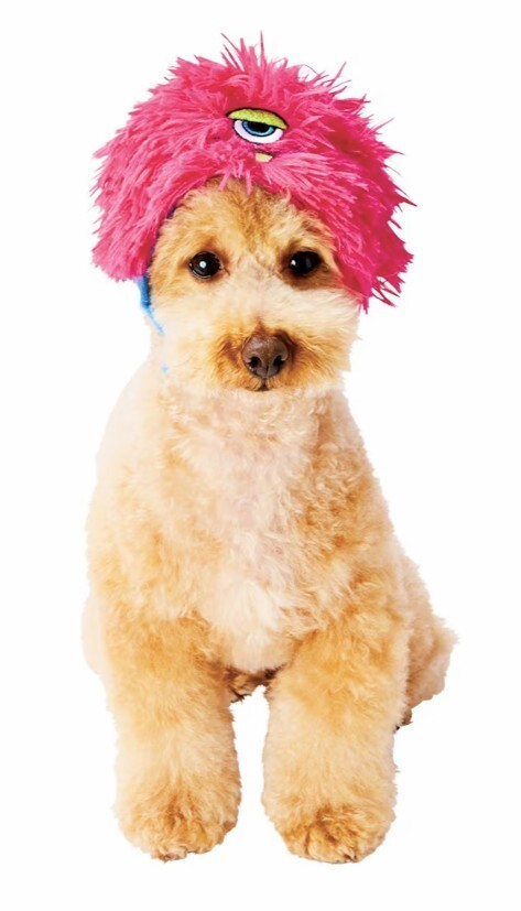 犬用★ワンちゃん★ほっかむり★変身グッズ★ピンクモンスター★ハロウィン★可愛い★ペット用仮装グッズ★ペット★新品未使用★送料無料_画像2