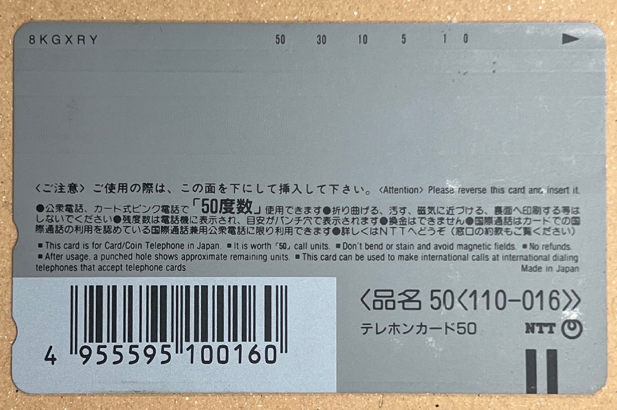 ポケットモンスター　ゲームフリーク　10周年記念　テレカ　テレホンカード　50度数_画像4