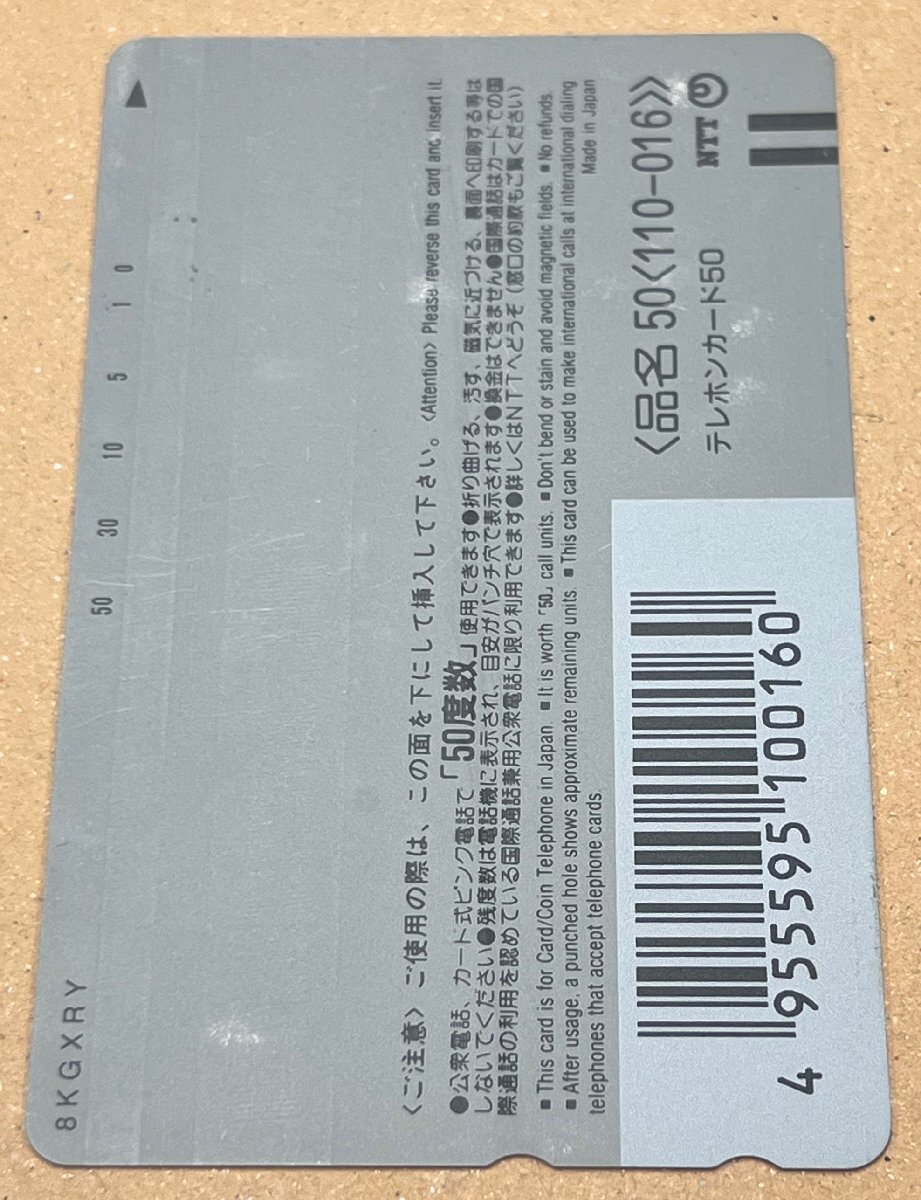 ポケットモンスター　ゲームフリーク　10周年記念　テレカ　テレホンカード　50度数_画像5