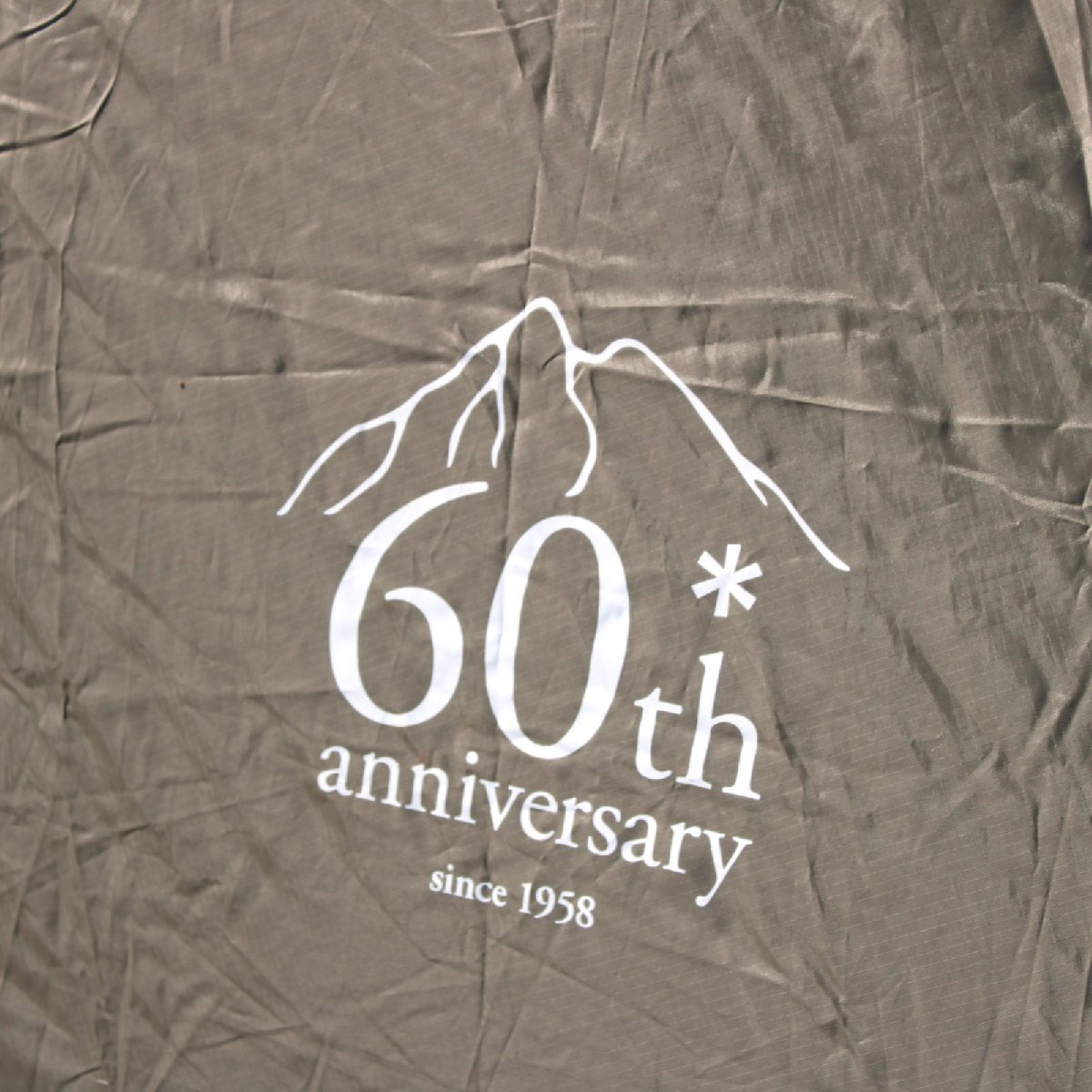 【設営確認済】 スノーピーク（snow peak） 60周年記念 リビングシェル Pro.　リップストップ TP-635_画像6