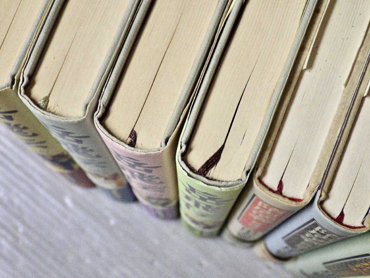 まとめ売り|田中芳樹〈2作品9冊セット〉◆岳飛伝 全4巻(中央公論新社)/隋唐演義 全5巻(徳間書店)_画像7