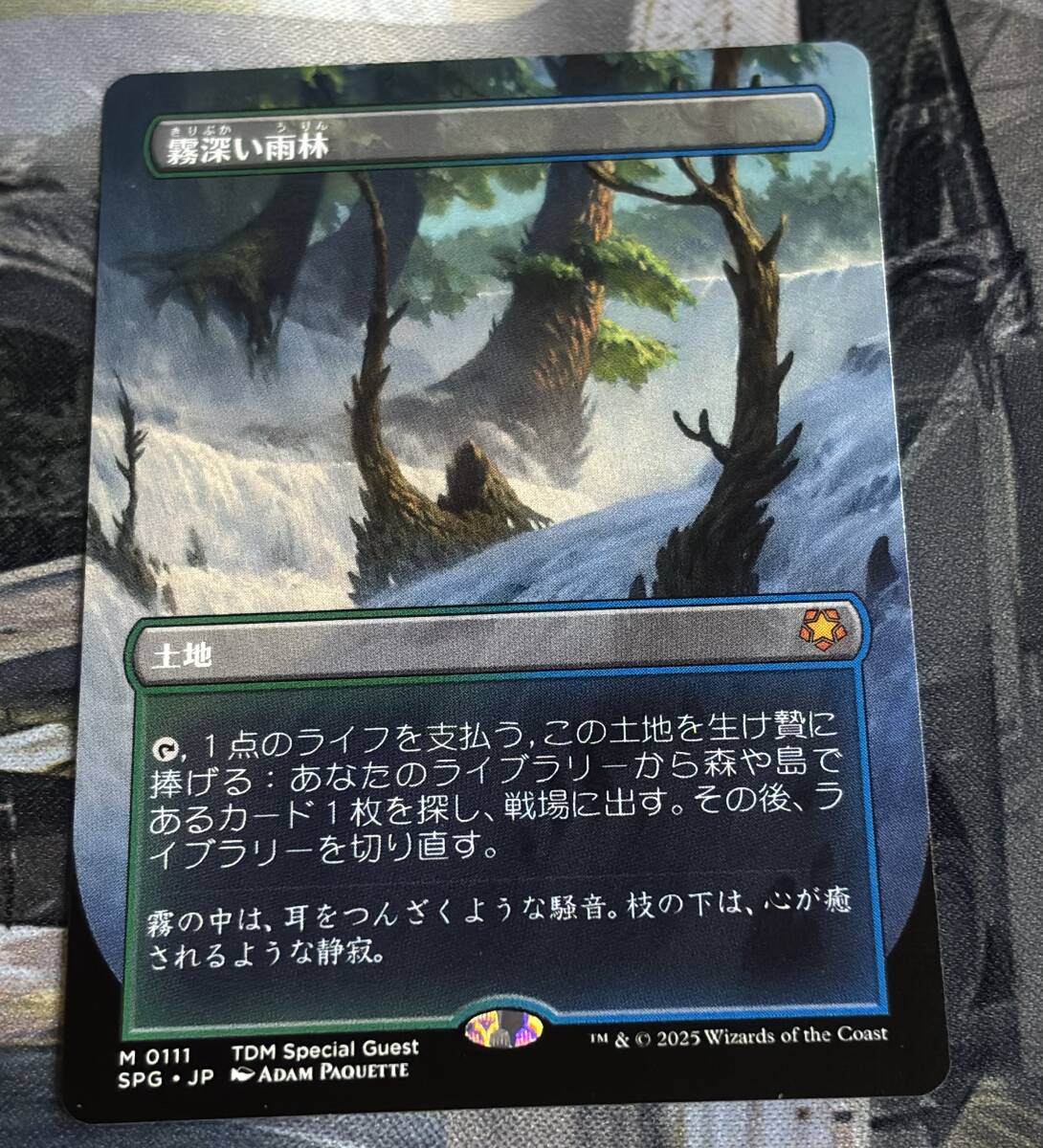 霧深い雨林/Misty Rainforest 1枚 日本語版_画像1