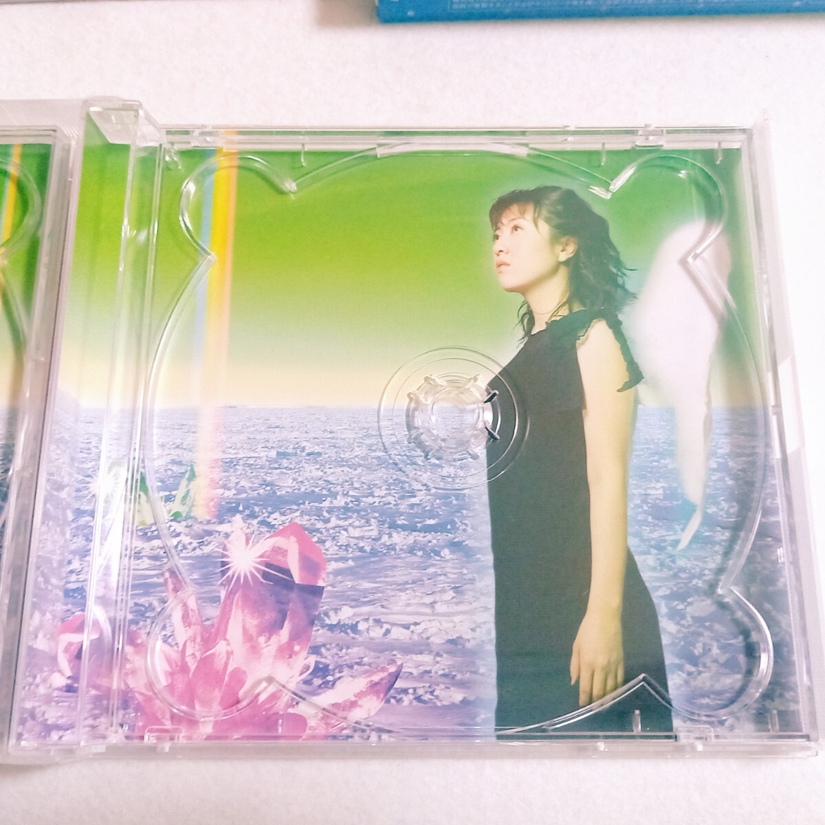 ☆美品☆ 林原めぐみ / feel well 《初回限定盤 CD+DVD スリーブケース付》 アルバム MEGUMI 声優 シャーマンキング/ラブひな/スレイヤーズ_画像6