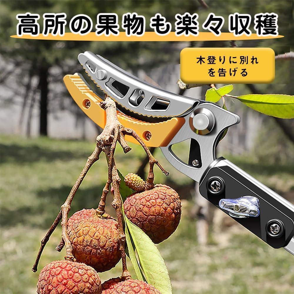 高枝切りバサミ たかえだきりばさみ 1.4M-3M 高枝切りノコギリの画像3