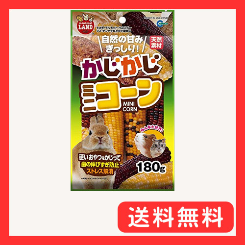 ミニマルランド かじかじミニコーン 180g 180グラム (x 1)_画像1