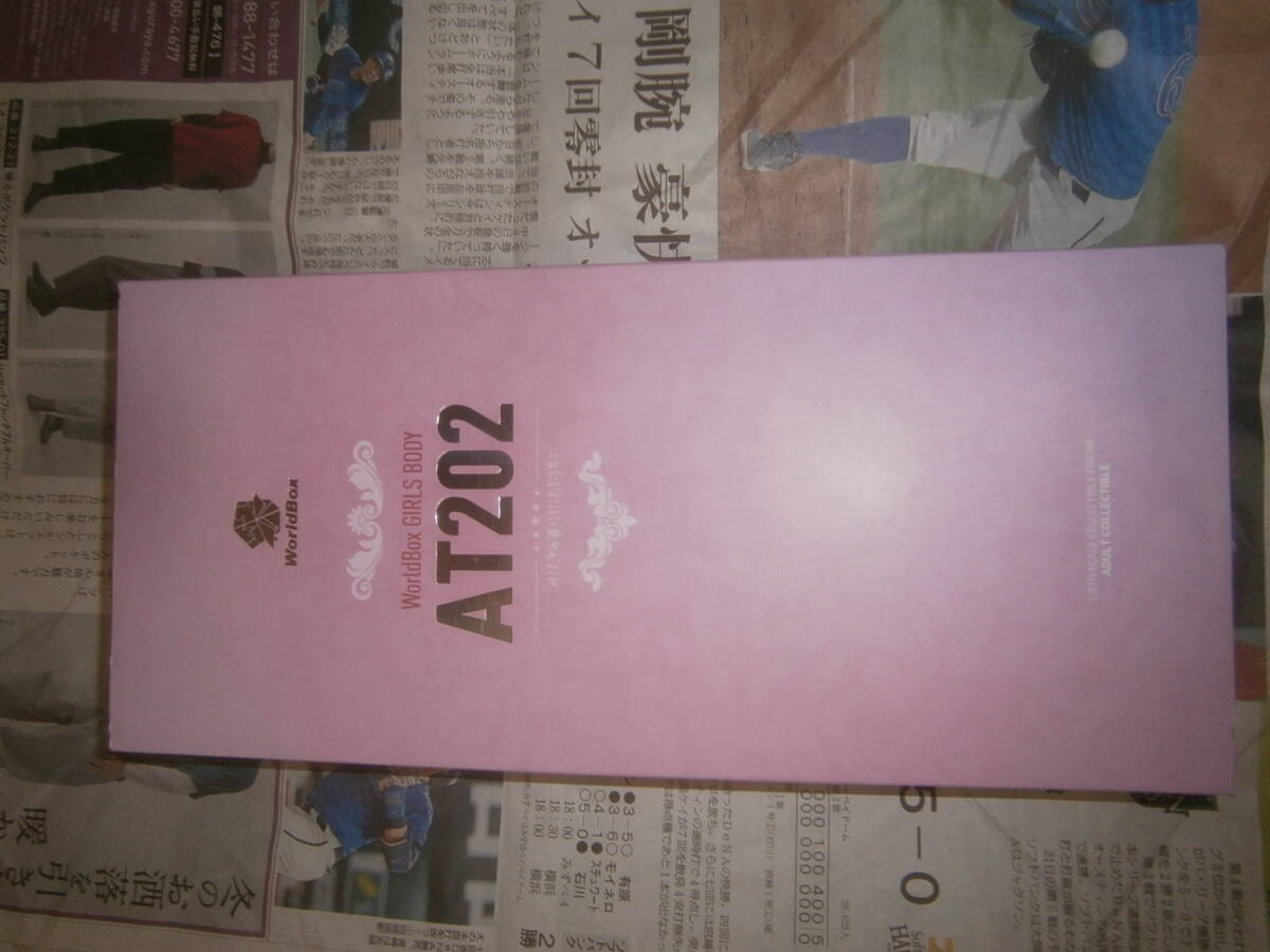 WorldBox　 AT202 1/6 素体_画像1