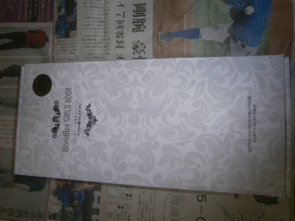 WorldBox　 AT202 1/6 素体_画像3