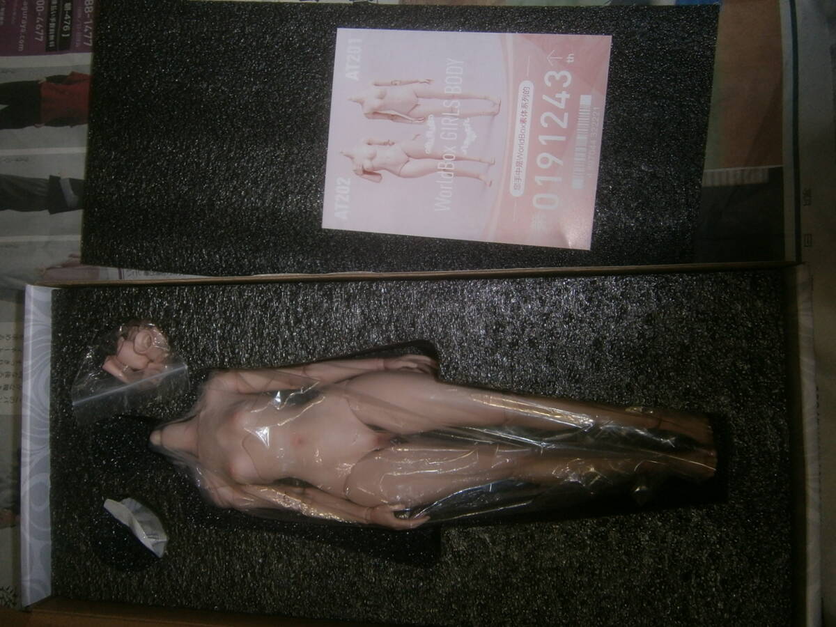 WorldBox　 AT202 1/6 素体_画像4