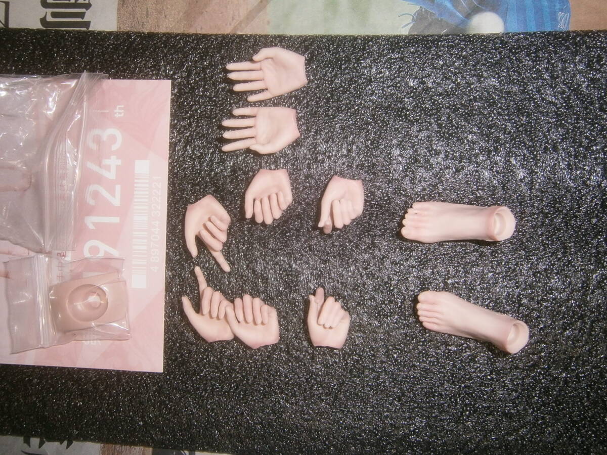 WorldBox　 AT202 1/6 素体_画像5