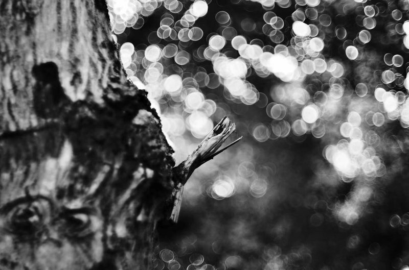 LIGHT LENS LAB M 50mm f/2 SPII Mマウント ライカM ヴィンテージブラック 単焦点レンズ Leica M 周クック_画像10