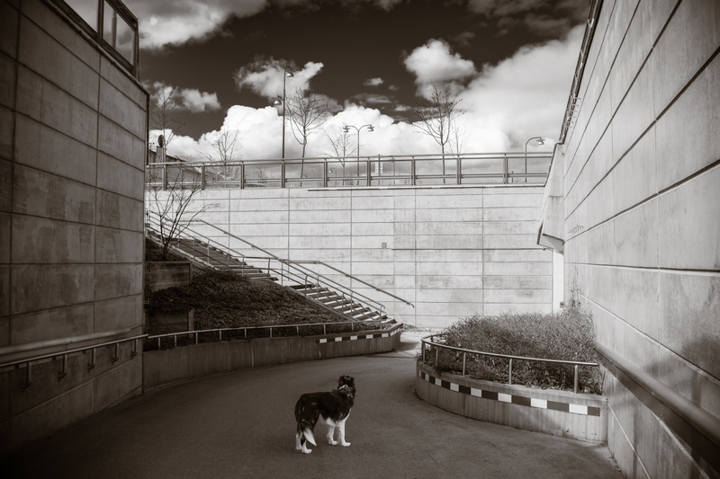 TTArtisan 35mm T2.1 シネマレンズ Lマウント フルサイズ 単焦点レンズ 国内正規品 保証2年 標準 ライカ シグマ 銘匠光学_画像8