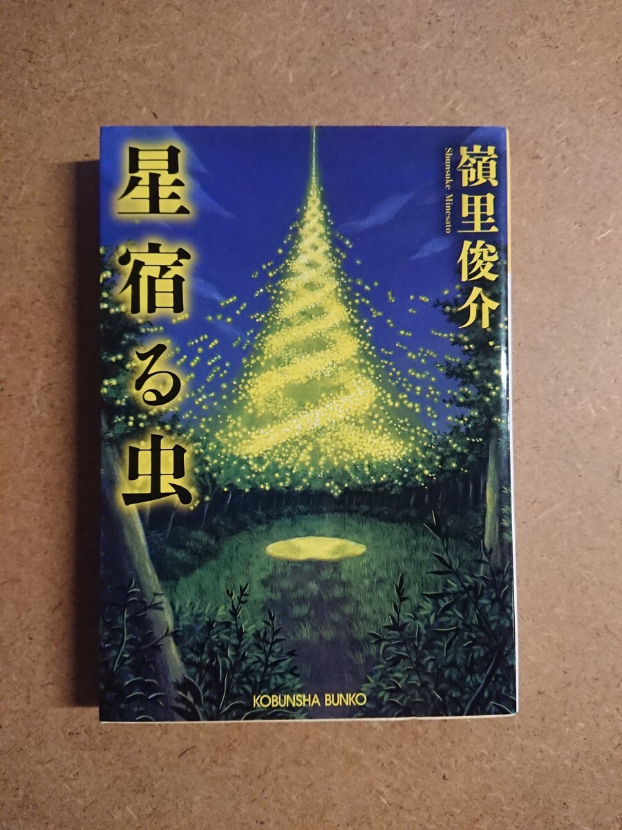 小説 星宿る虫 嶺里俊介 文庫 初版 古本 _画像1