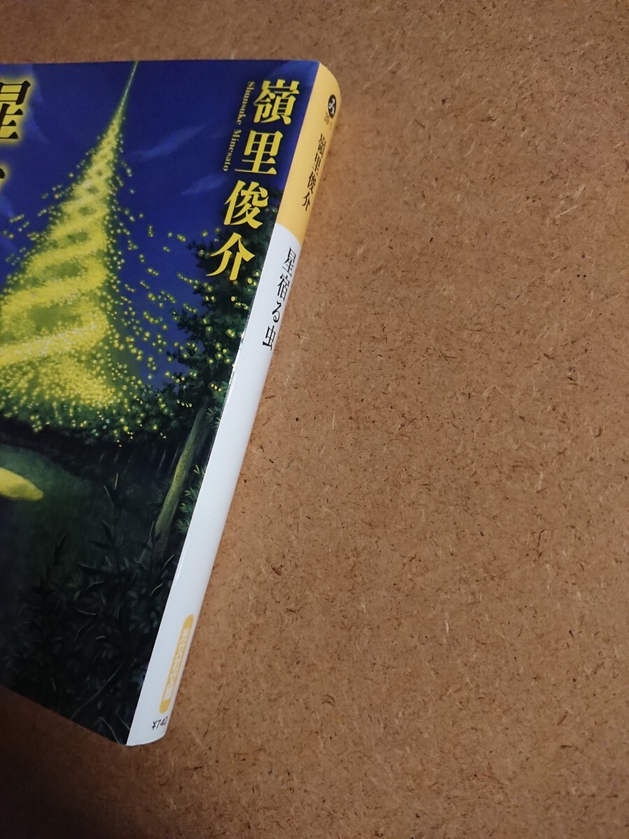 小説 星宿る虫 嶺里俊介 文庫 初版 古本 _画像3